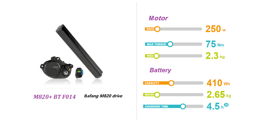 Bafang M820 Motor & BT F014 Battery